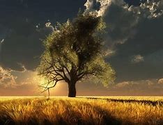 如何让电脑不自动休眠 如何设置电脑不休眠