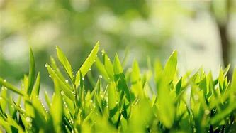 win7屏保密码在哪里设置 win7屏保密码在哪里设置