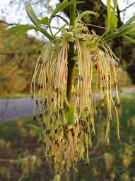 acer win7系统下载 acer win7系统下载