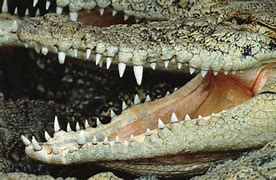 计算机扫描服务开启 7中的扫描管理功能