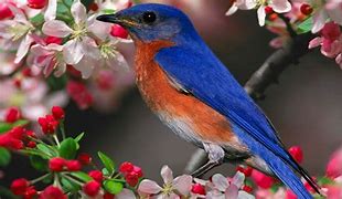 重装win7时提示遇到错误windows安装无法继续的解决方案