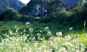 win7激活还原工具和还原 win7激活还原工具