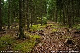 关于mastercam9 0中文版下载 关于mastercam9 0中文版下载