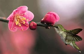 现在win7跟win10哪个系统适合玩游戏？