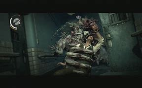 administrator密码 administrator密码是多少 administrator密码 administrator密码是多少