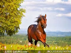 网上下载的win7系统怎么装 网上下载的win7系统怎么装