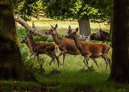 kms host not accepting win7 vl kms key kms host not accepting win7 vl kms key