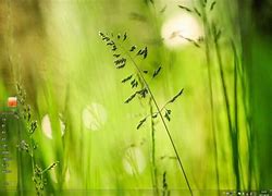 win7字体大小怎么设置 修改win7默认字体大小 win7字体大小怎么设置 修改win7默认win7整个电脑字体大小设置字体大小