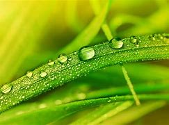 win7本地连接被删除怎么办 win7本地连接被删除怎么办